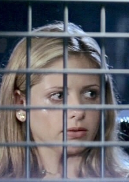 Sarah Michelle Gellar photo