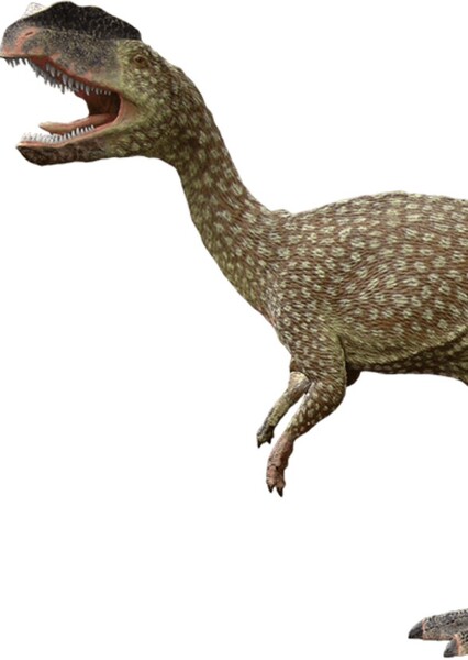 Sarcosaurus photo