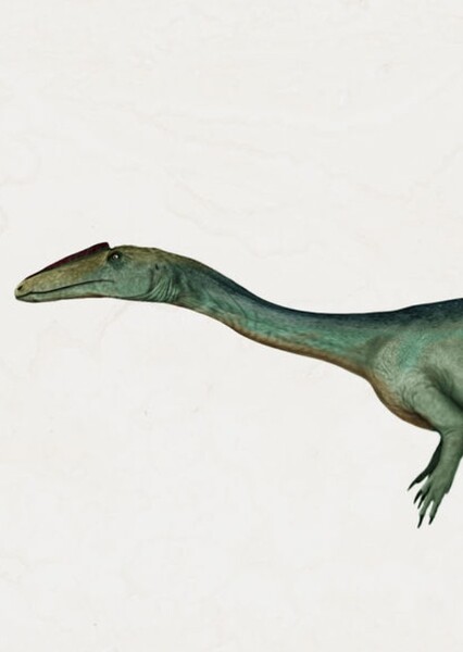 Sarcosaurus photo