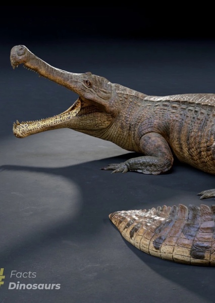 Sarcosuchus photo