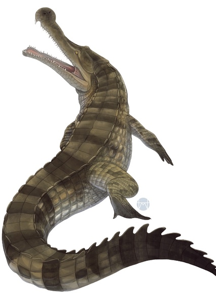 Sarcosuchus