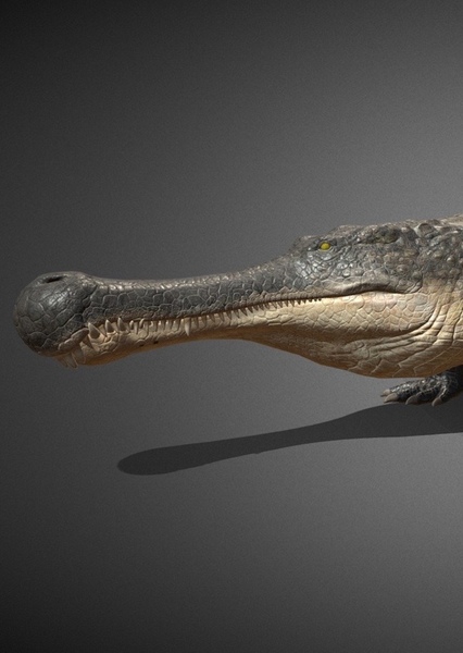 Sarcosuchus photo