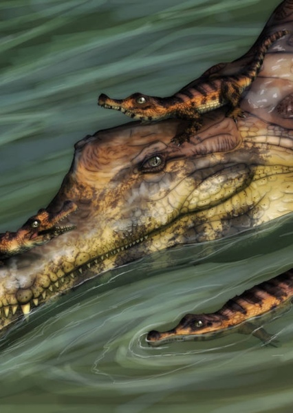 Sarcosuchus photo