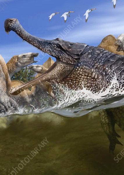 Sarcosuchus photo