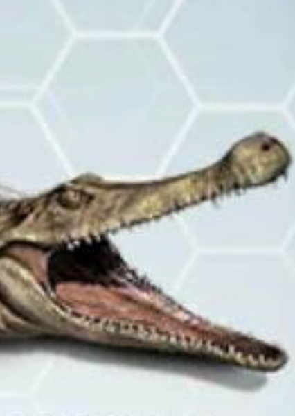 Sarcosuchus photo