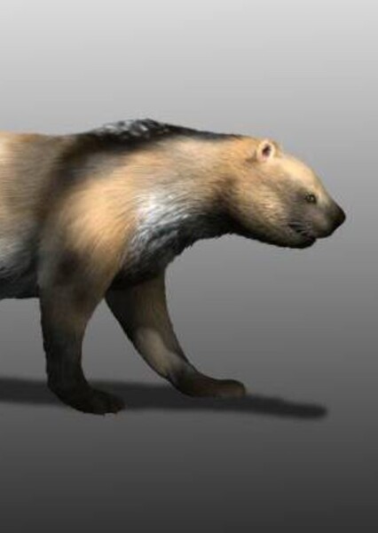 Sarkastodon