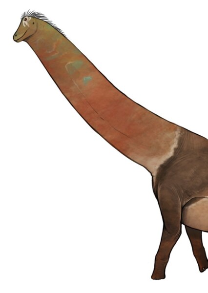 Sarmientosaurus