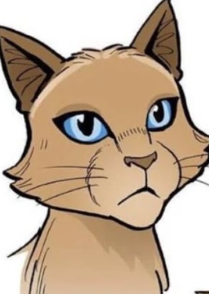 Sasha (Warrior Cats)