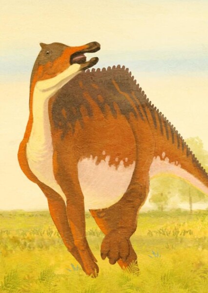 Saurolophus photo