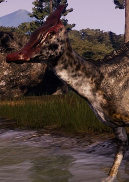 Saurolophus photo