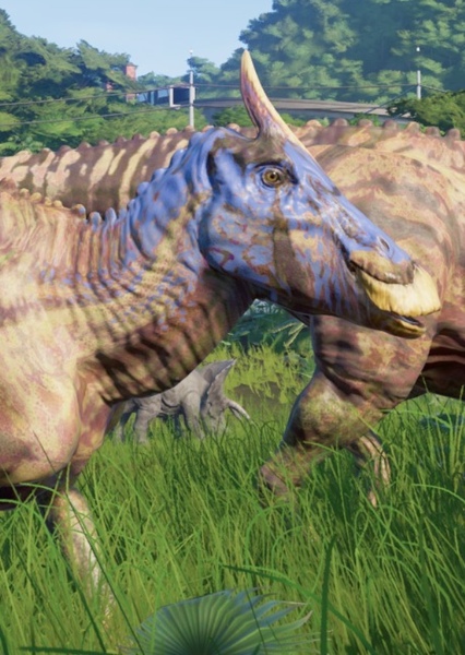 Saurolophus photo