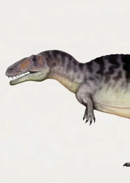 Sauroniops photo