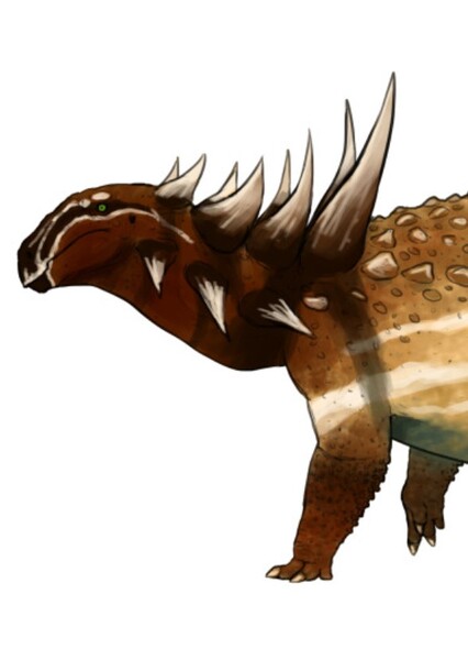 Sauropelta
