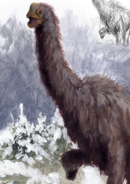 Sauropod