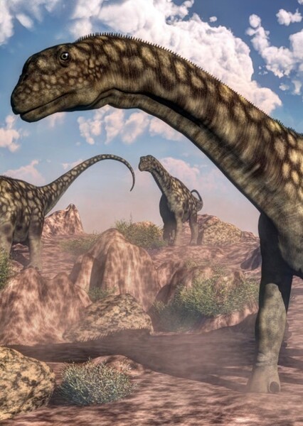 Sauropod