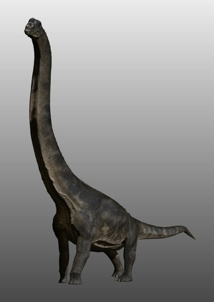 Sauroposeidon photo