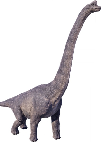 Sauroposeidon photo