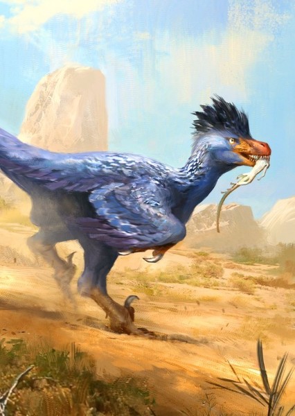 Saurornitholestes photo