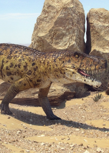 Saurosuchus photo