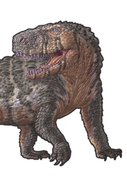 Saurosuchus photo