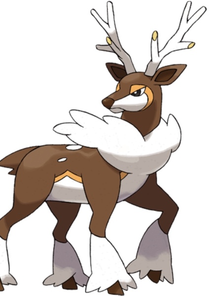 Sawsbuck photo
