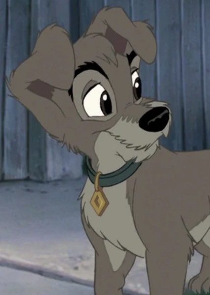 Scamp (Lady and the Tramp) photo