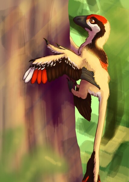 Scansoriopteryx