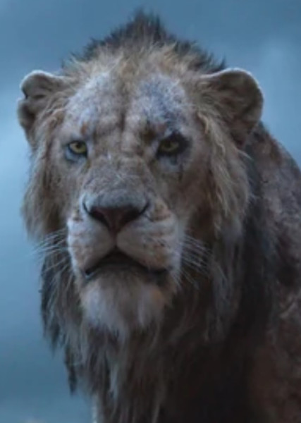 Scar photo