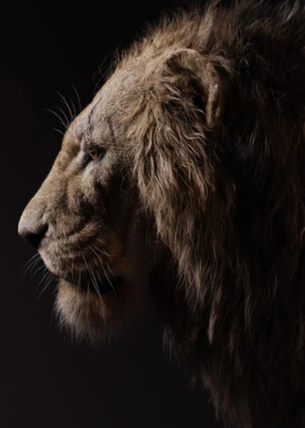 Scar photo