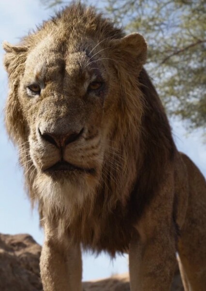 Scar (The Lion King) photo