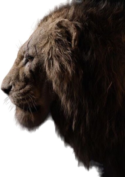 Scar (The Lion King) photo