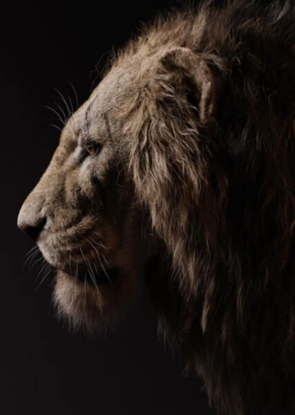 Scar (The Lion King) photo