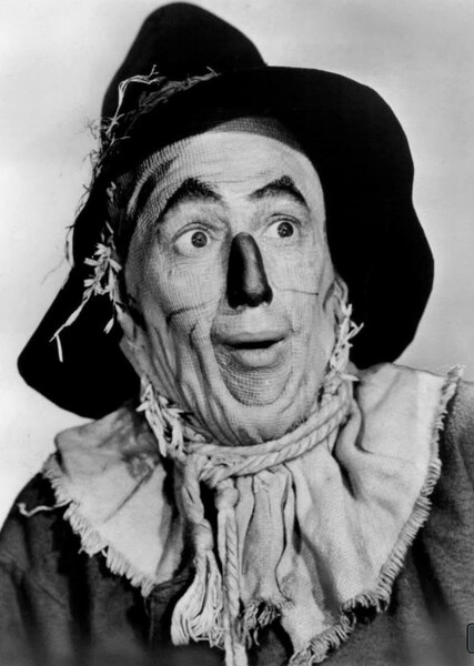 Scarecrow (Oz) photo