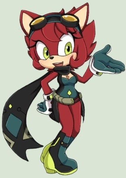 Scarlet the Hedgehog photo