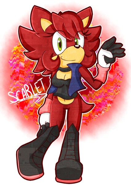 Scarlet the Hedgehog photo