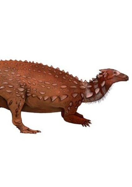 Scelidosaurus photo
