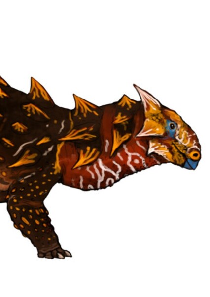 Scolosaurus photo
