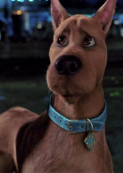 Scooby Doo photo