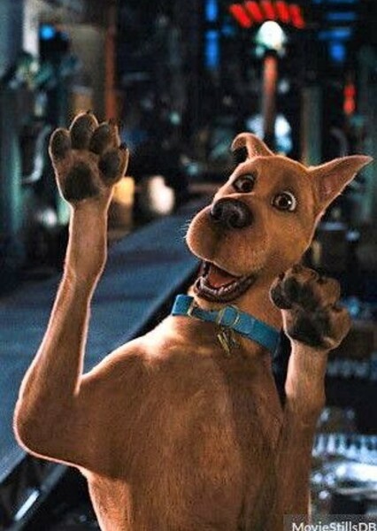 Scooby Doo photo