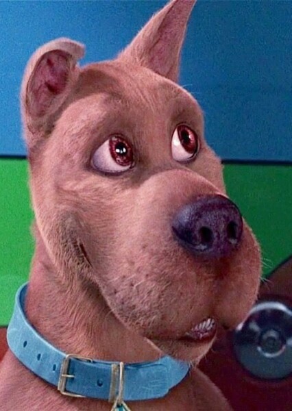 Scooby Doo photo