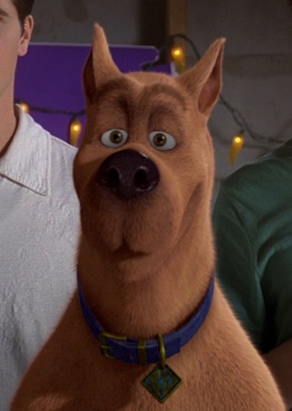 Scooby Doo photo