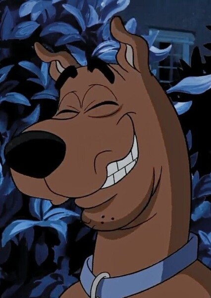 Scooby-Doo photo