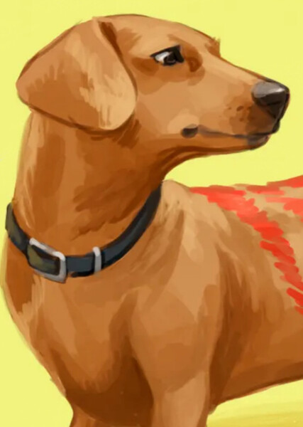 Scooter (American Girl) photo