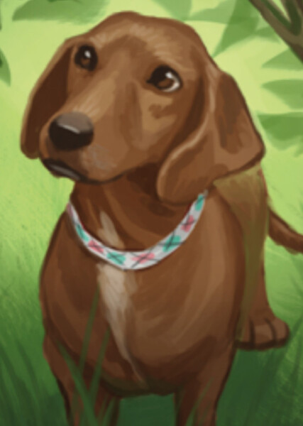 Scooter (American Girl) photo
