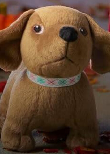 Scooter (American Girl) photo