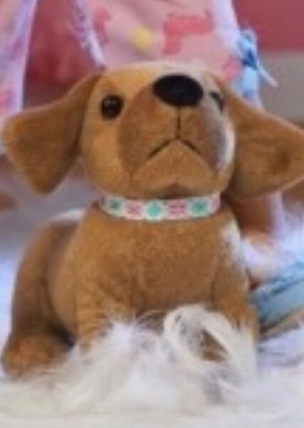 Scooter (American Girl) photo