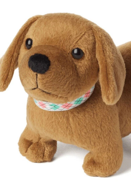 Scooter (American Girl) photo