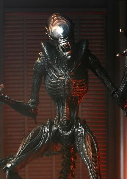 Scorched Xenomorph photo