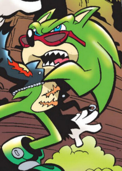 Scourge the Hedgehog photo