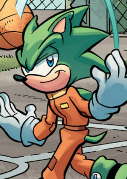 Scourge the Hedgehog photo